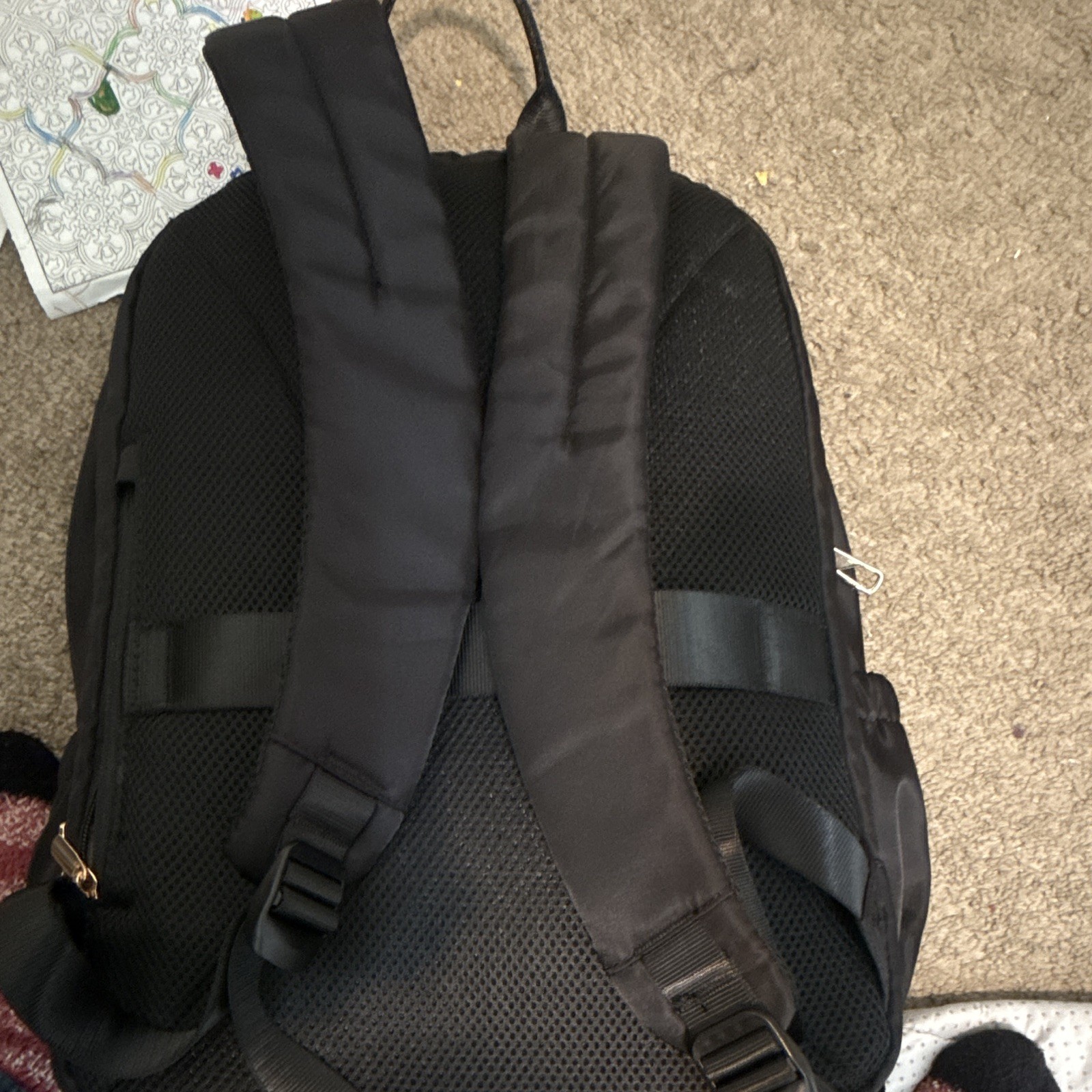Black Medium Backpack Beige Lined Multi Zip Pockets Adjustable Shoulder Straps