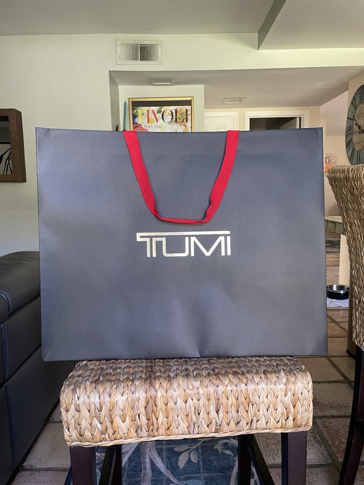 TUMI Alpha Bravo Men’s Medium Backpack Gray/Brown Padded Zip Travel