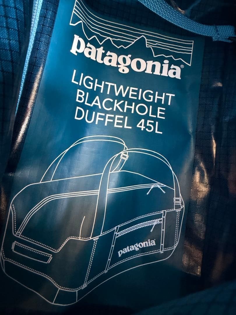 Patagonia Lightweight Black Hole Duffel 45L