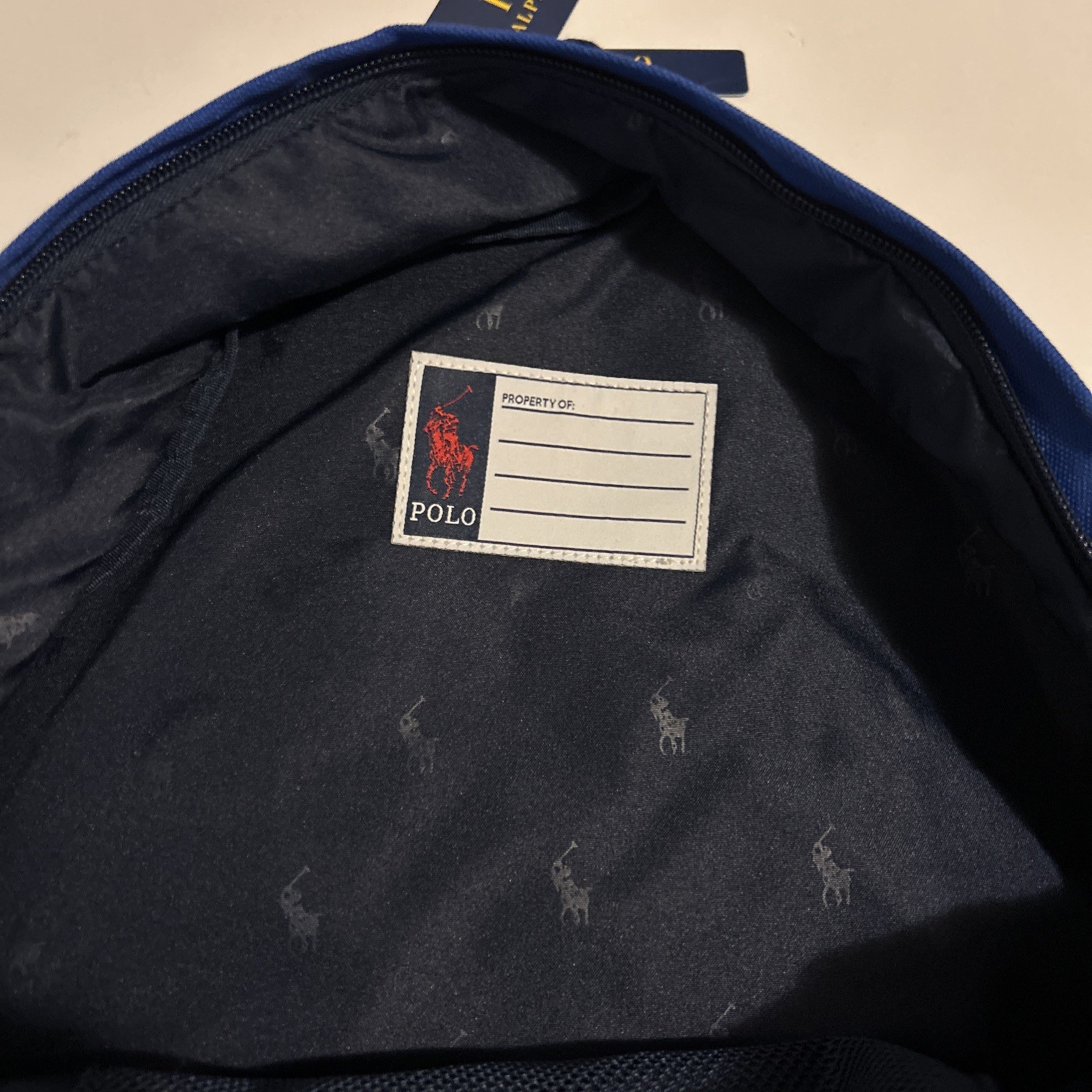 Polo Ralph Lauren Colorblock Multi-Color Pony Logo Backpack Bag 9AR151-E69