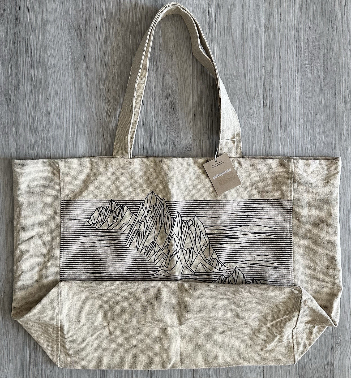 Patagonia Tote Bag Fitz Roy Mountain Extra Large Canvas Eco Beach Grocery NWT