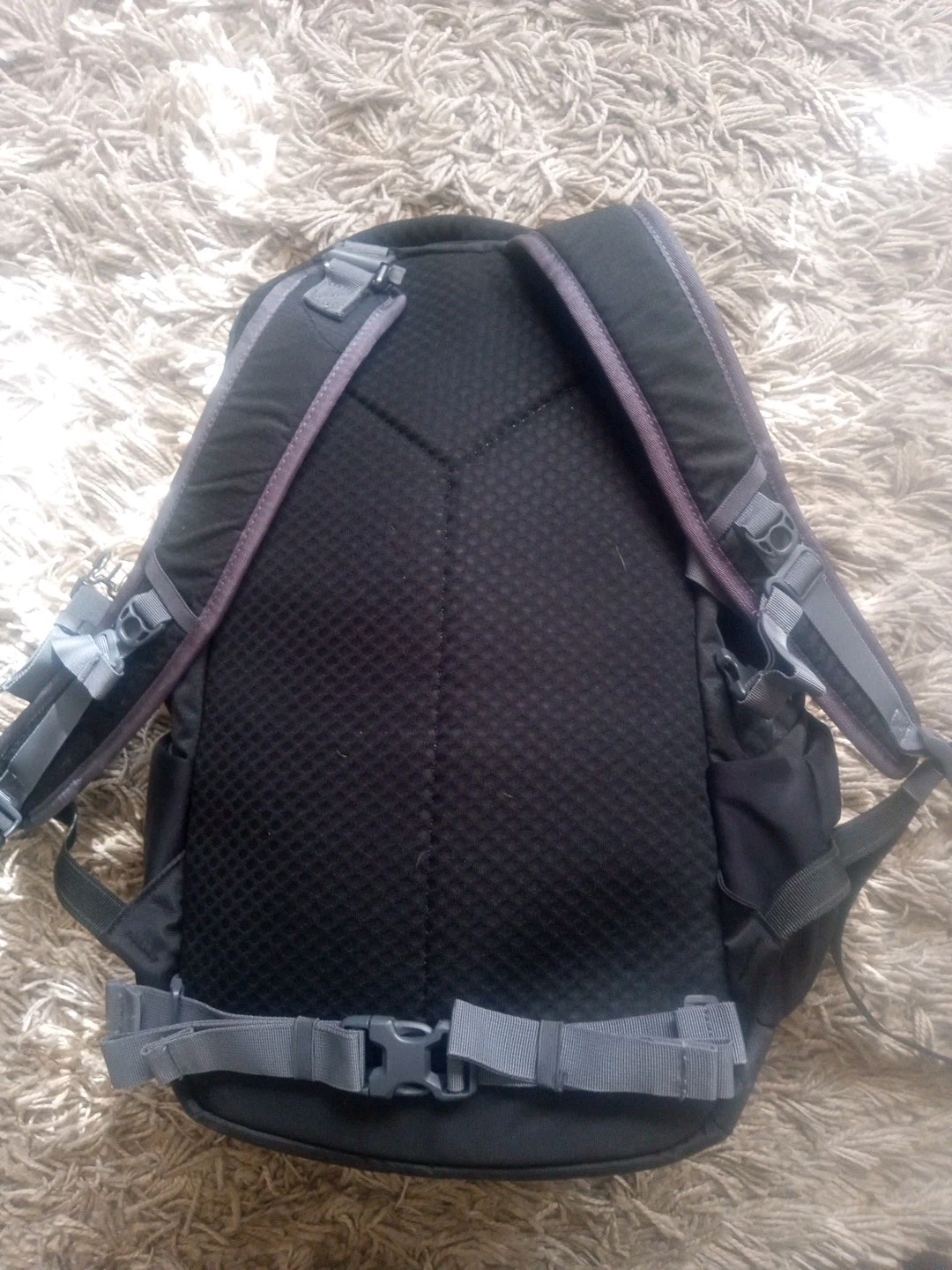 pacsafe backpack