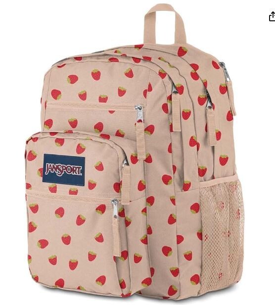 JanSport Laptop Backpack – Computer Bag with 2 Compartments, Ergonomic Shoulder