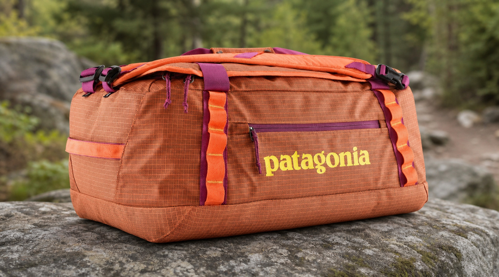 Patagonia Black Hole Duffel 40L Bag
