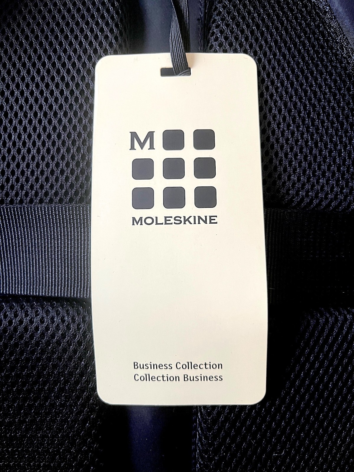 Moleskine Business Laptop Backpack