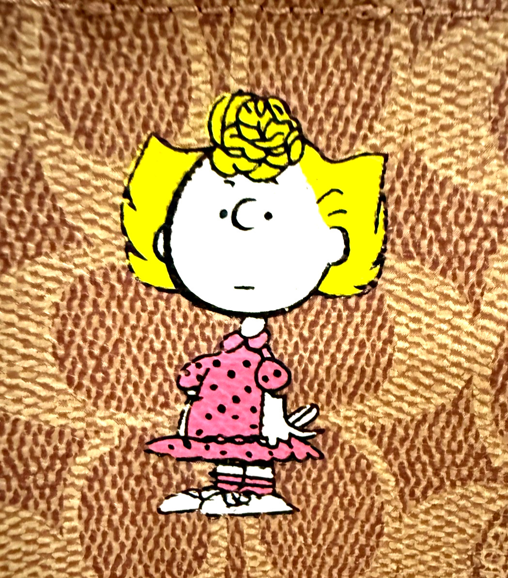 NEW COACH X PEANUTS CBF74 Willow Tote 18, Signature Canvas Removable Pouch