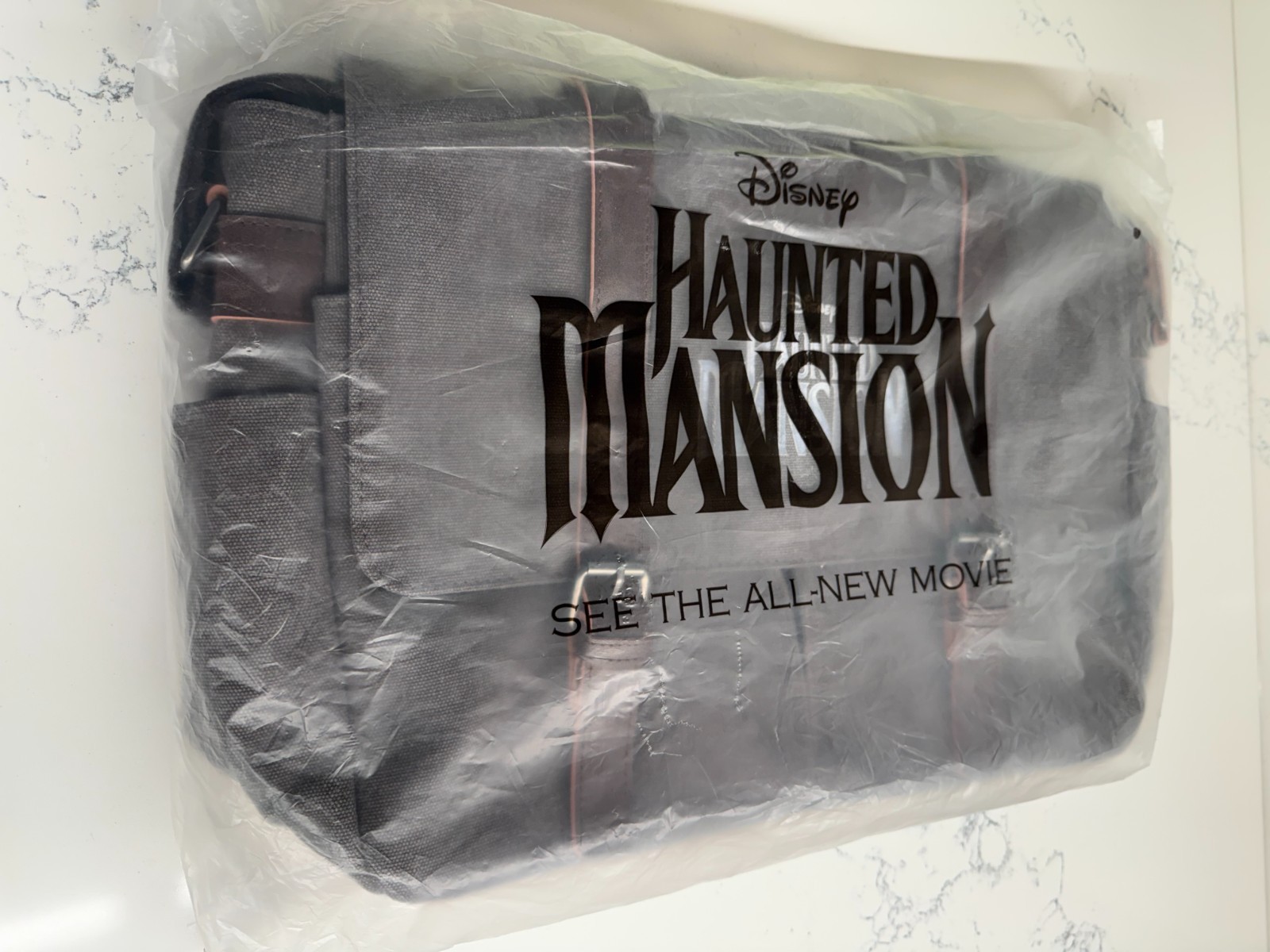 NEW Disney Haunted Mansion Canvas Messenger Bag – Limited Edition (ships in box)