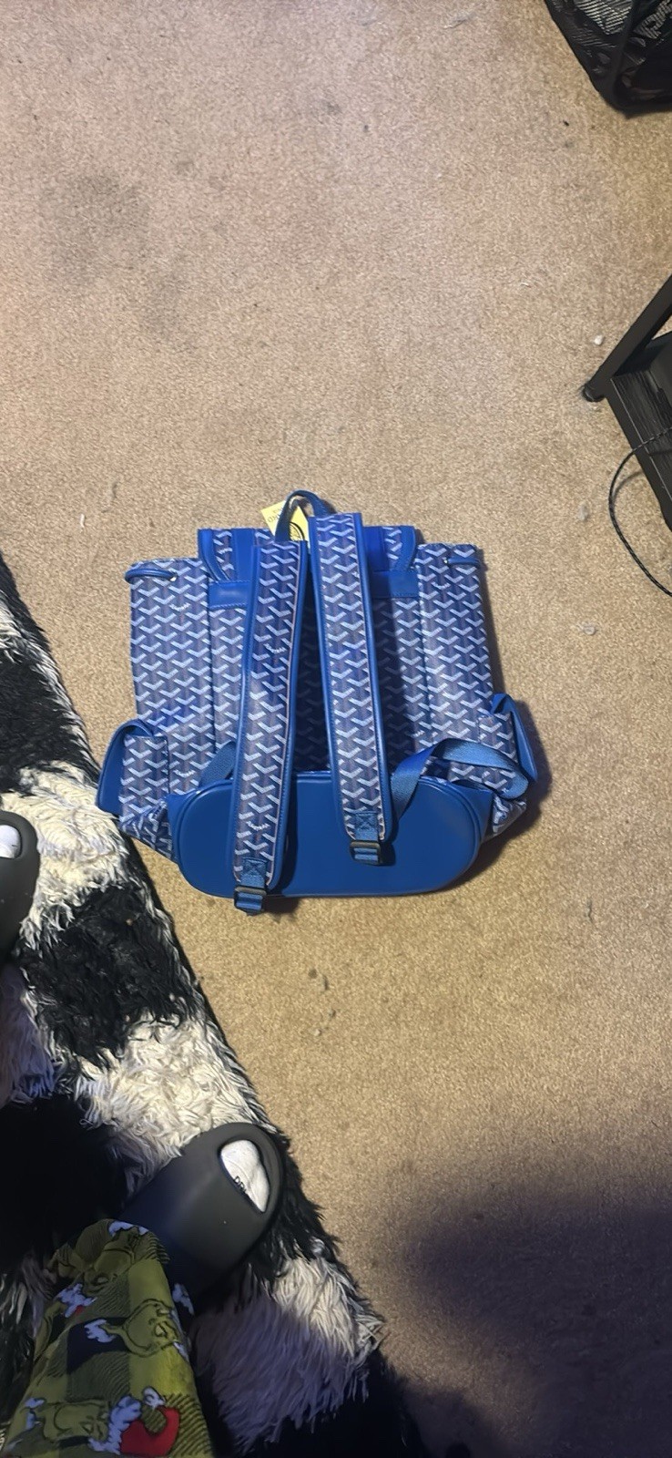 Blue Geometric Goyard Goyardline Flap Backpack Leather/canvas