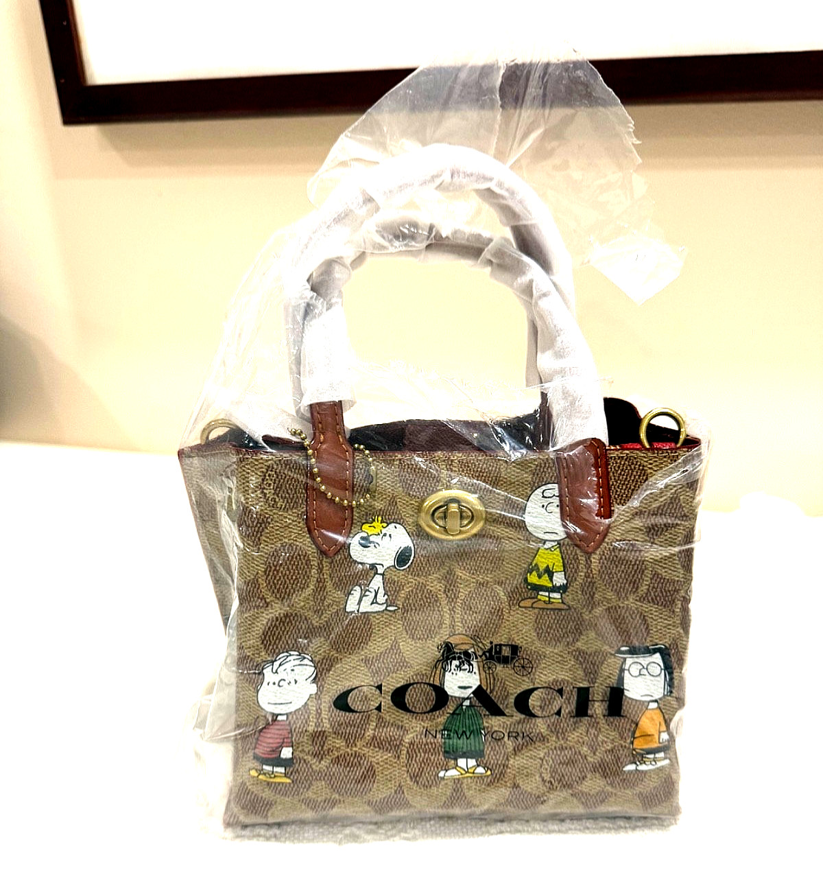 NEW COACH X PEANUTS CBF74 Willow Tote 18, Signature Canvas Removable Pouch
