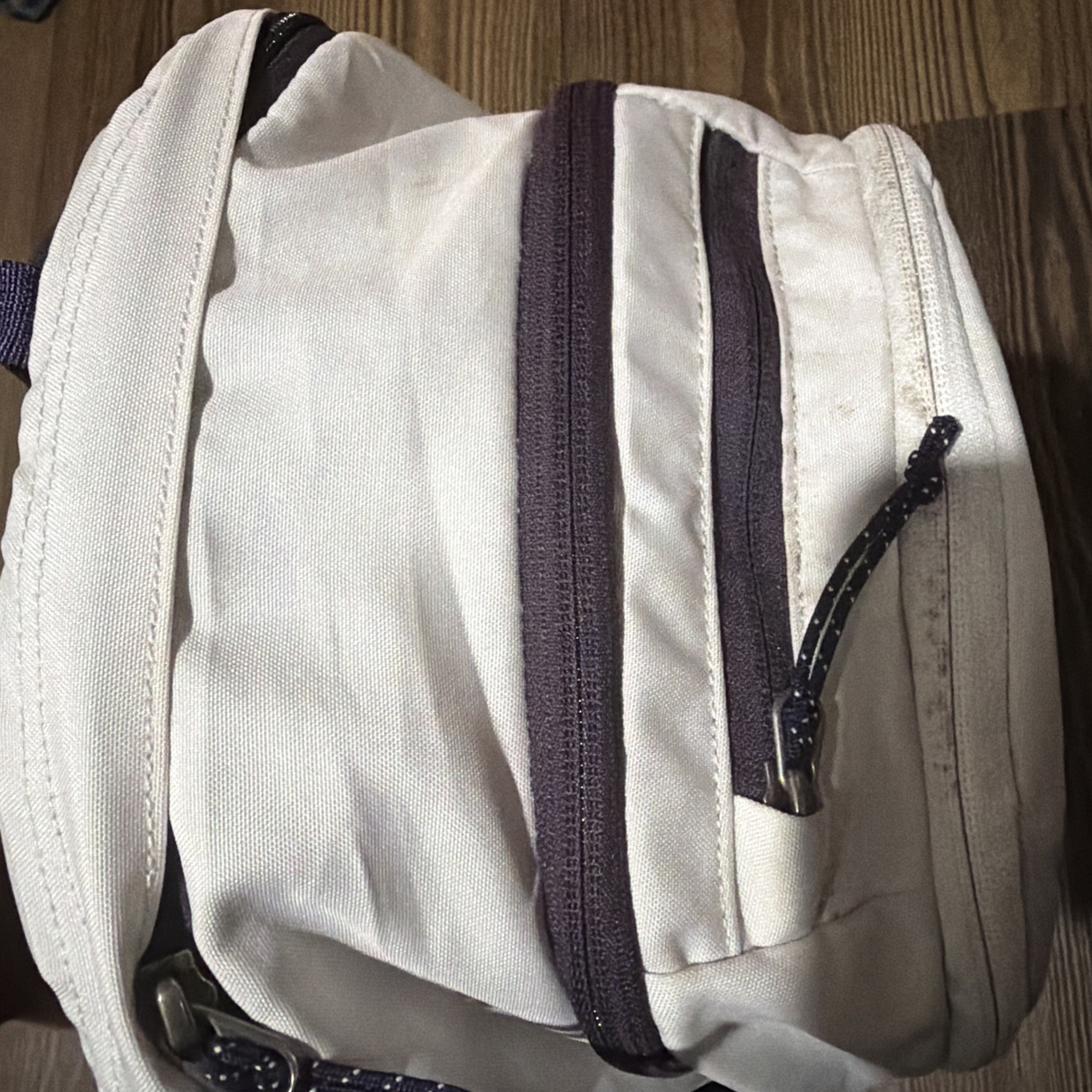 Patagonia Refugio Daypack 28L Backpack Hiking Commuter Travel