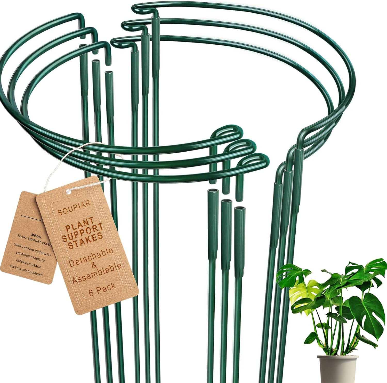 6 Pack Detachable & Assemblable Metal Plant Support Stakes – Garden Support Ring