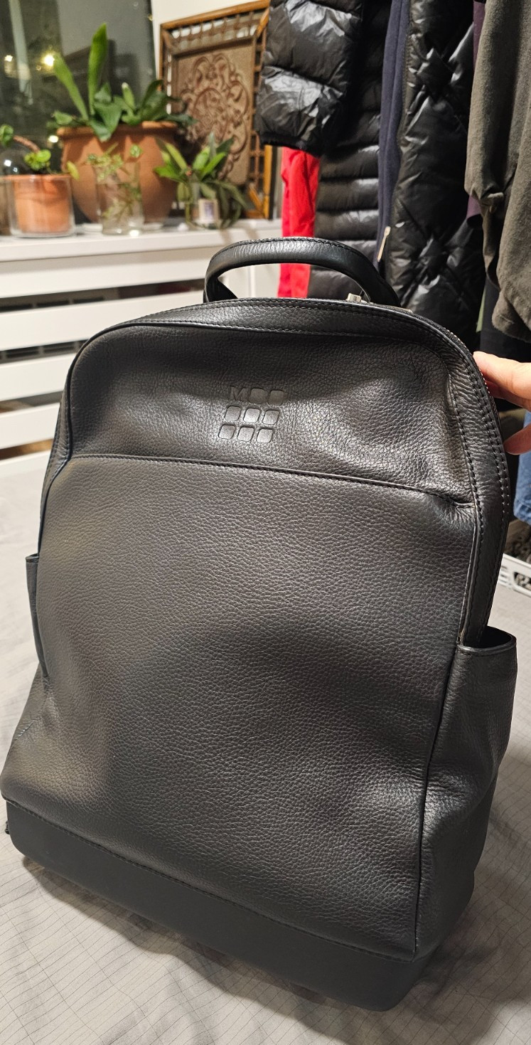 MOLESKIN Backpack, Leather, Plain Black
