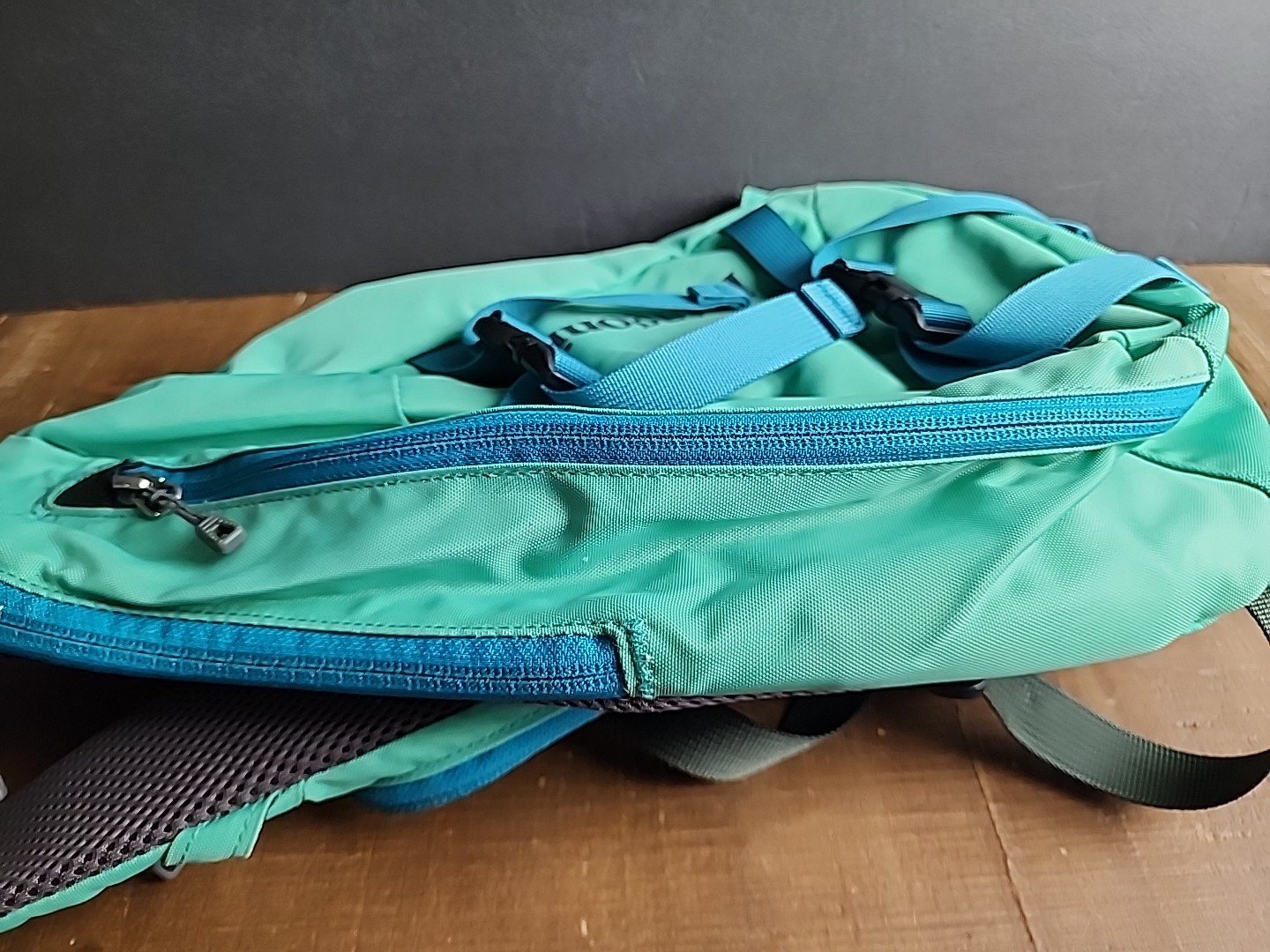 Patagonia Crossbody Sling Strap Backpack Blue/Teal Hiking Travel Outdoor-Read!