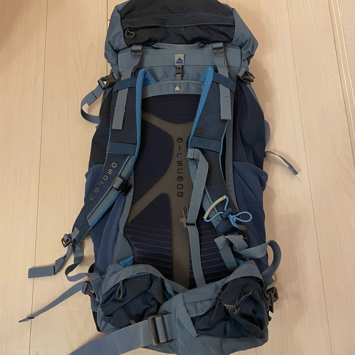Osprey Kestrel 38 Ocean Blue Backpack M/L Hiking Climbing Daypack Good Japan