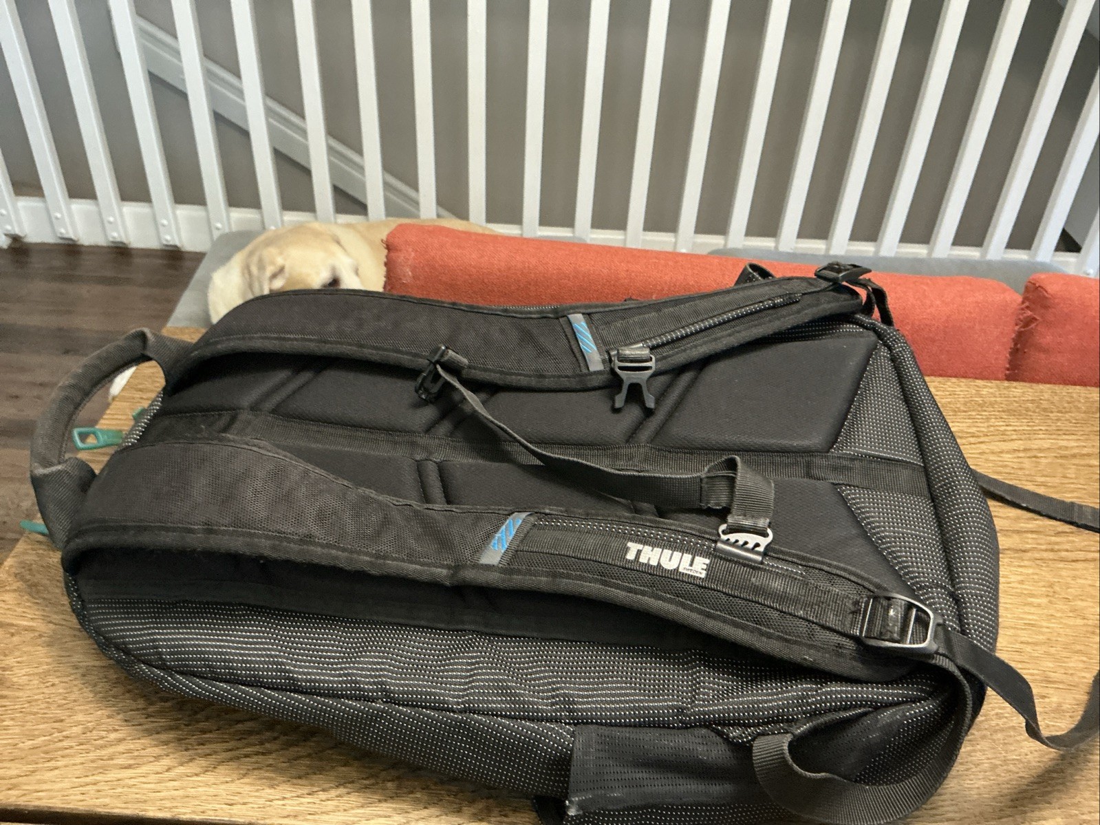Thule Black Backpack Zip Closure Adjustable Strap Pockets Inner Pockets – READ
